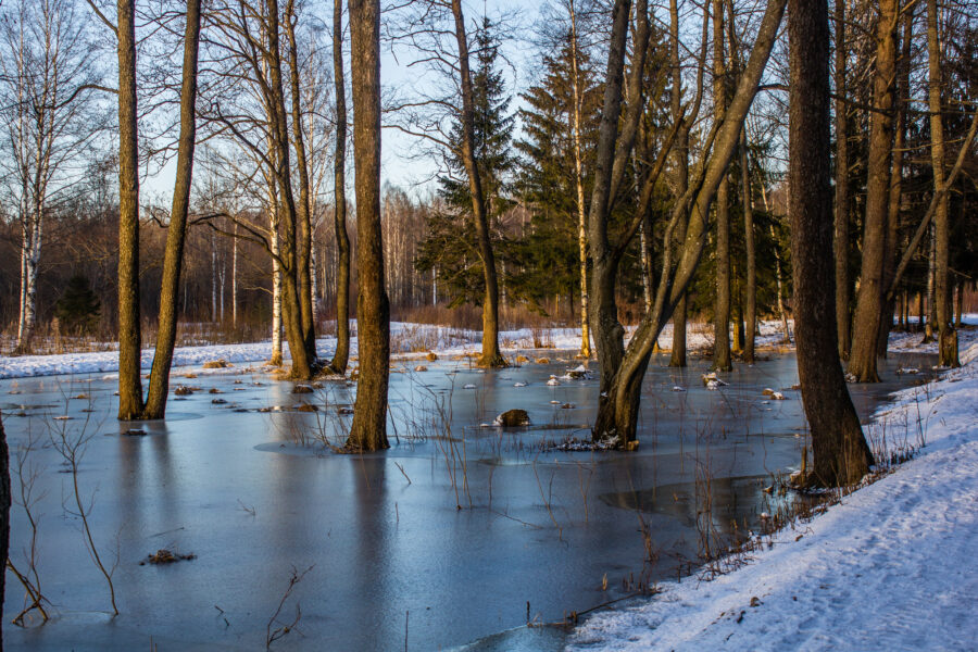 Brighton Ontario